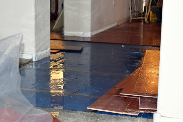 Professional Basement Flood Cleanup technician working in Lyle, WA